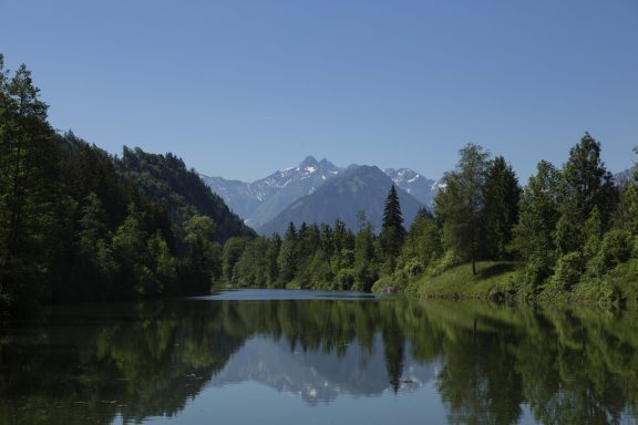 Landschaftsaufnahme vom Auwaldsee, rings um den See stehen Bäume, im Hintergrund sind Berge zu sehen